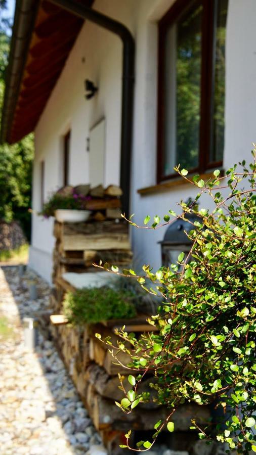 Wundervoll Eben - Chalets & Plaetze Voller Wunder - Notschkerl & Feinis Waasen 外观 照片